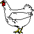 [Chicken]